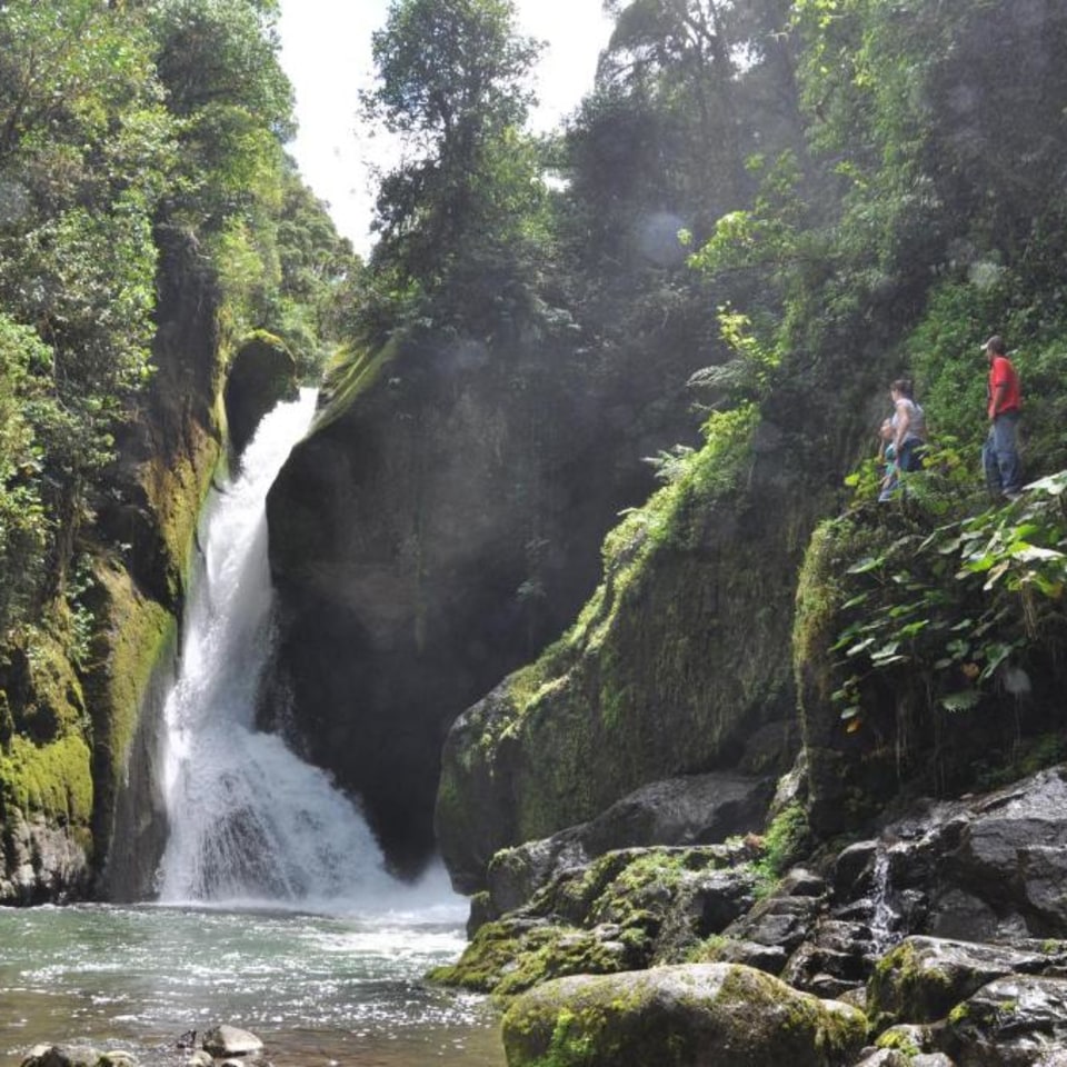 Sueños del Bosque Lodge